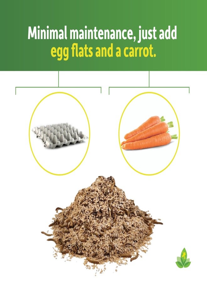 Josh's Frogs Mealworm & Superworm Wheat Bran Bedding and Food Source (5 Quarts) - Image 3